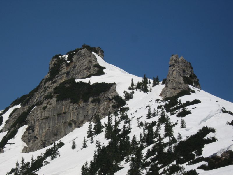 2009-04-13 Stripsenkopf (21) Option Stripsenkopf
